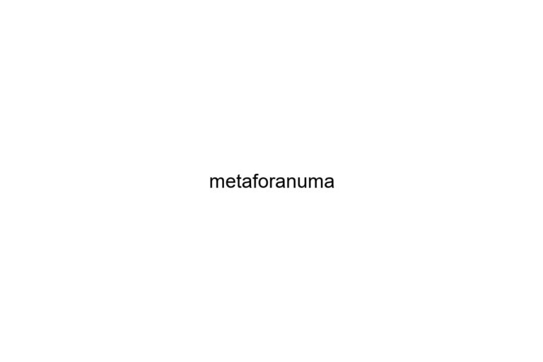 metaforanuma