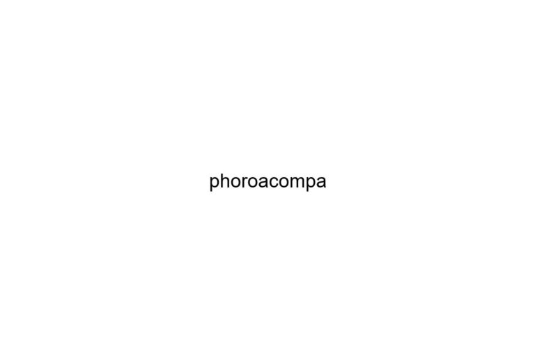 phoroacompa