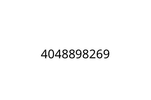 4048898269