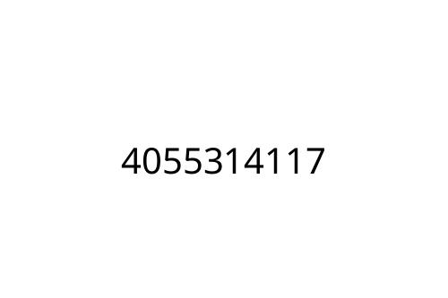 4055314117