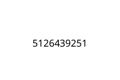 5126439251