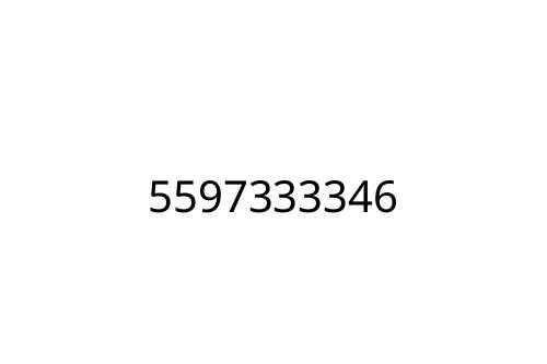 5597333346
