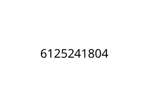 6125241804