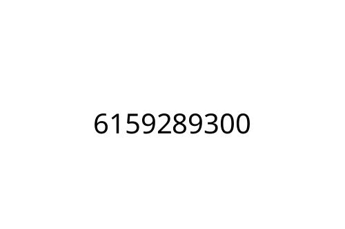6159289300