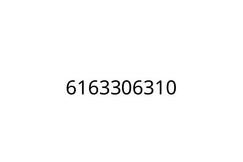 6163306310