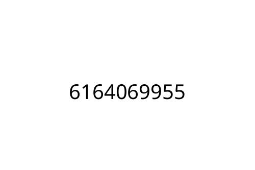 6164069955