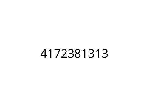 4172381313