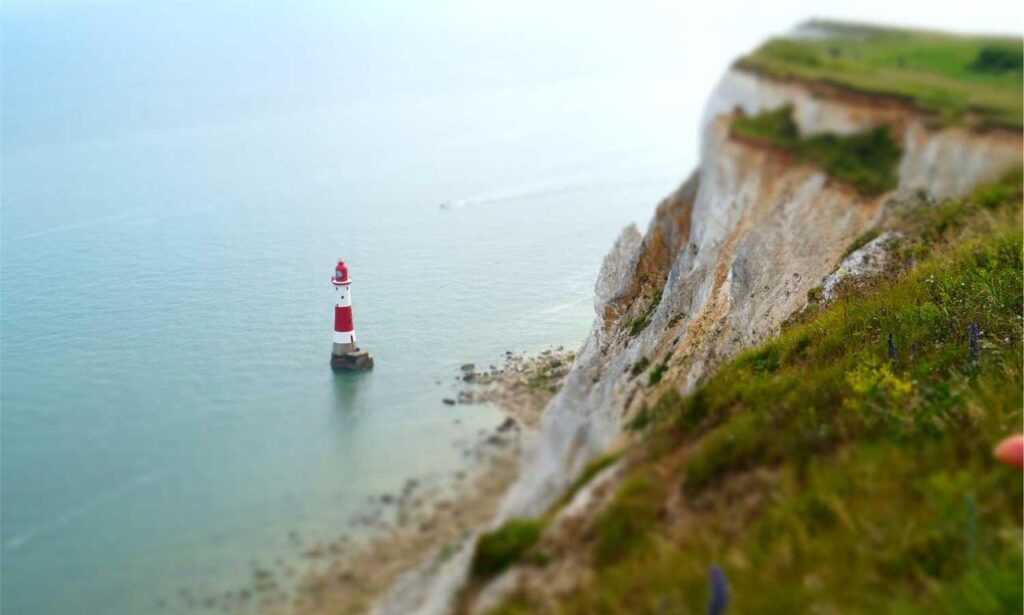 can i stream greensurvive2004 game on pc