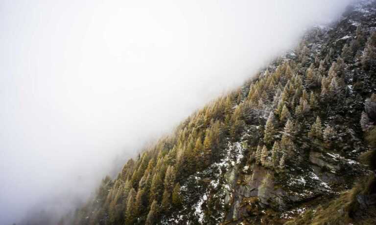 how to use immorpos35.3 software