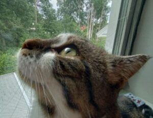 3000 dolares a pesos chilenos