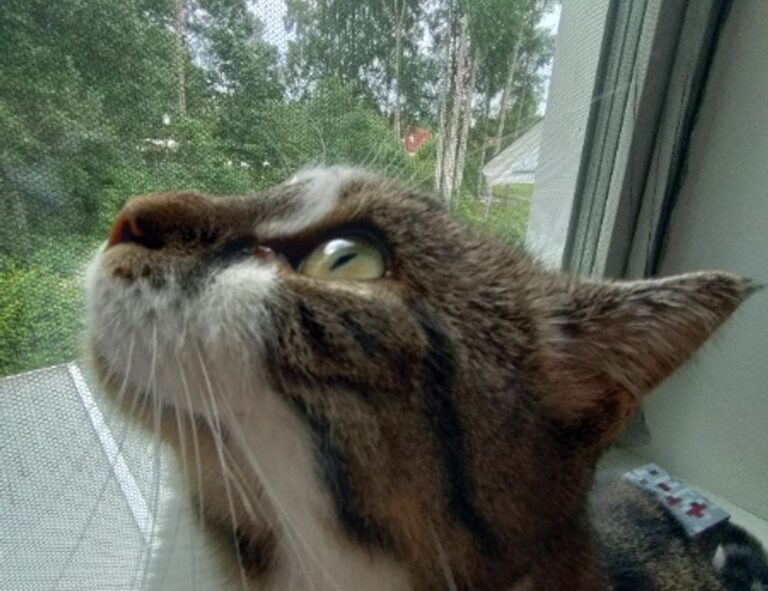 3000 dolares a pesos chilenos