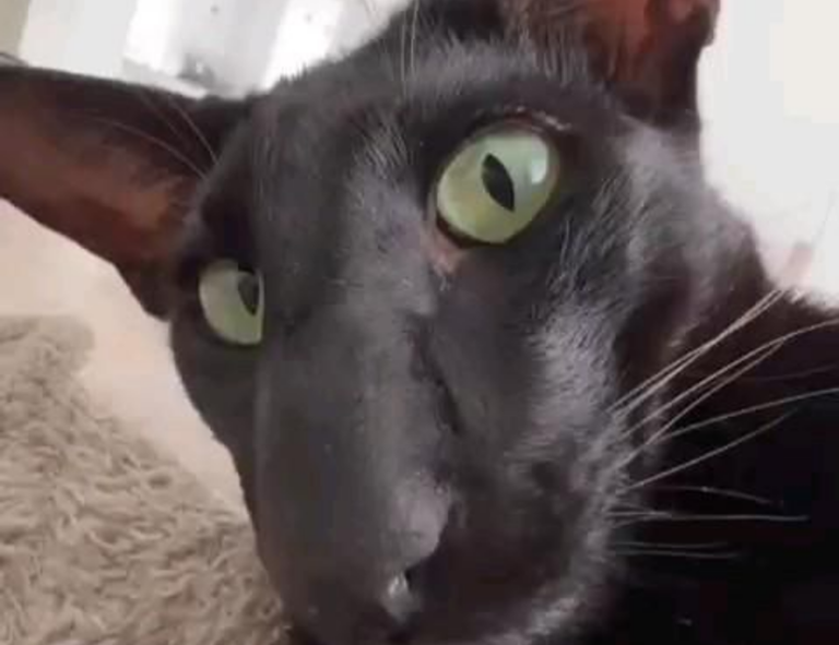 car games unblocked 76