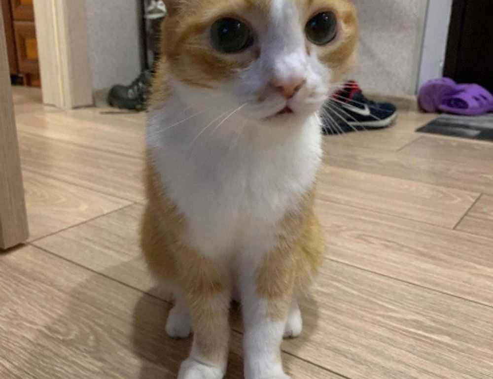 hauska syntymäpäivä gif