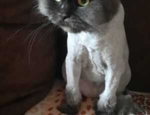 little girl without a shirt scary