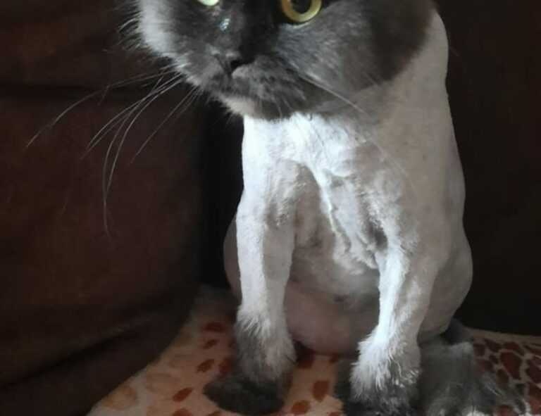 little girl without a shirt scary