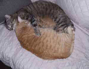 versuri de la george michael careless whispers