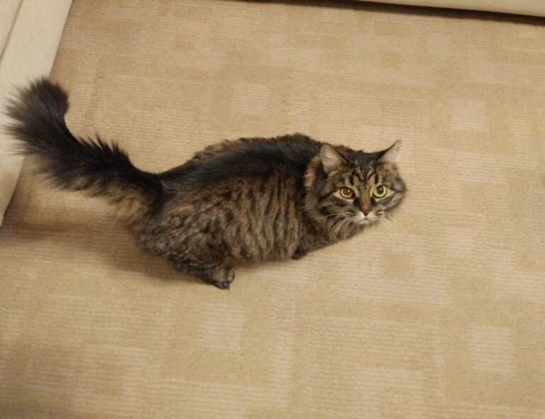 vintage feliz cumpleaños fashion mujer