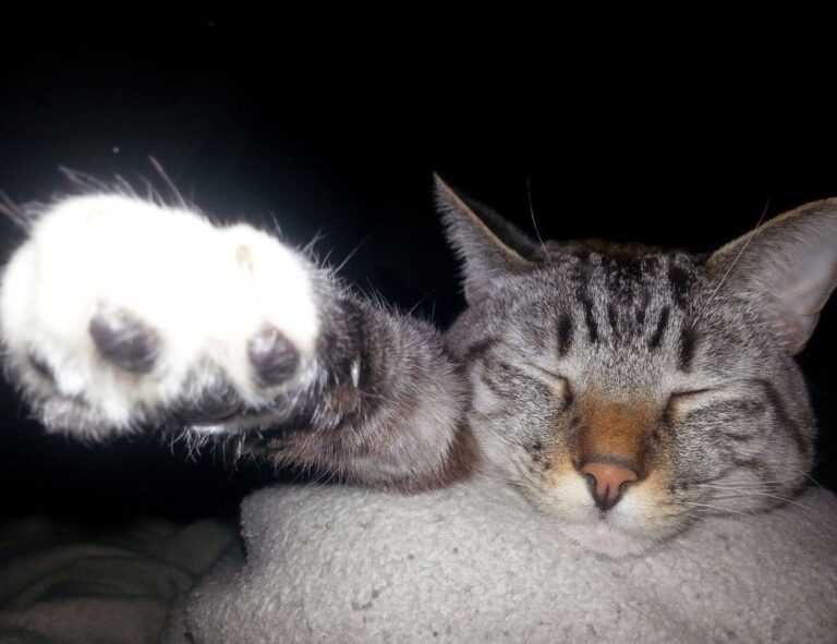 wallpaper al quran cantik