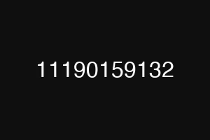 11190159132