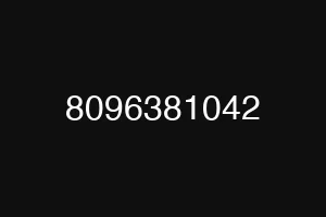 8096381042