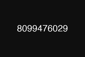 8099476029