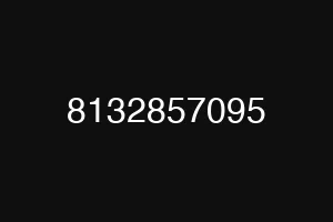 8132857095