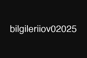 bilgileriiov02025
