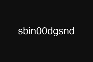 sbin00dgsnd