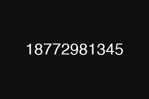 18772981345