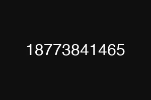 18773841465