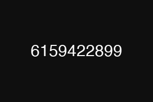 6159422899