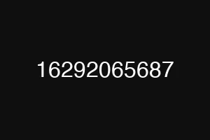 16292065687