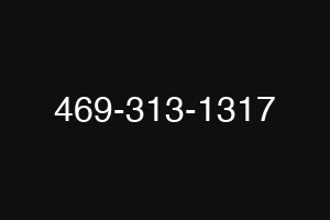 469-313-1317