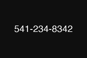 541-234-8342