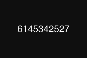 6145342527