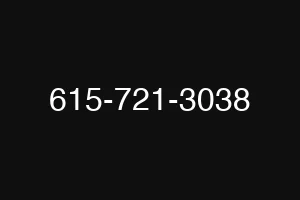 615-721-3038