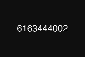 6163444002