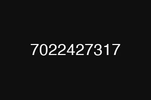 7022427317