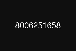 8006251658