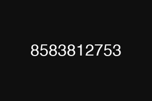 8583812753