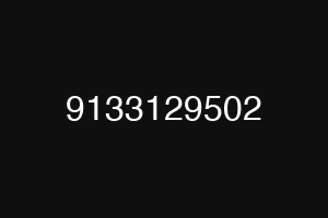 9133129502