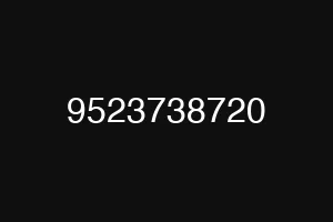9523738720