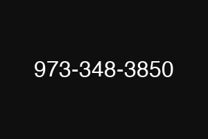 973-348-3850